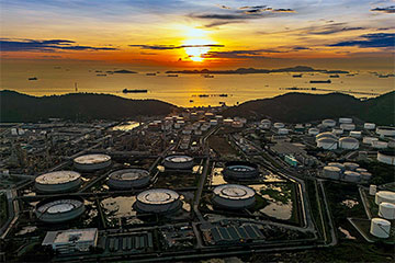 Webinar: Impact of escalating global volatility on ASEAN