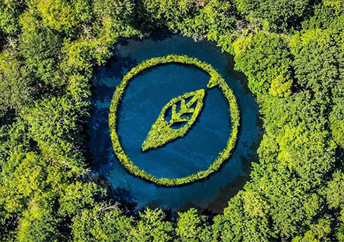 Go Sustainable